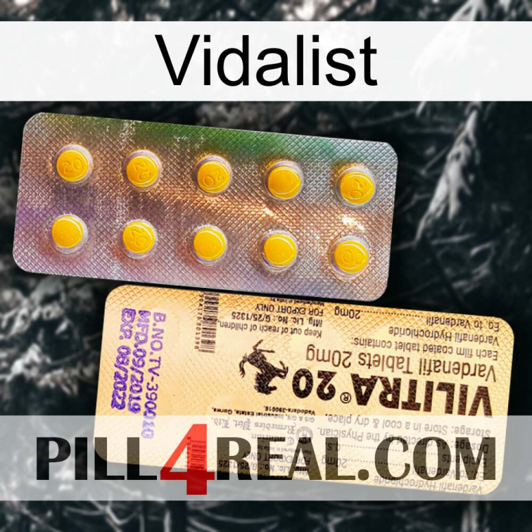 Vidalist new06